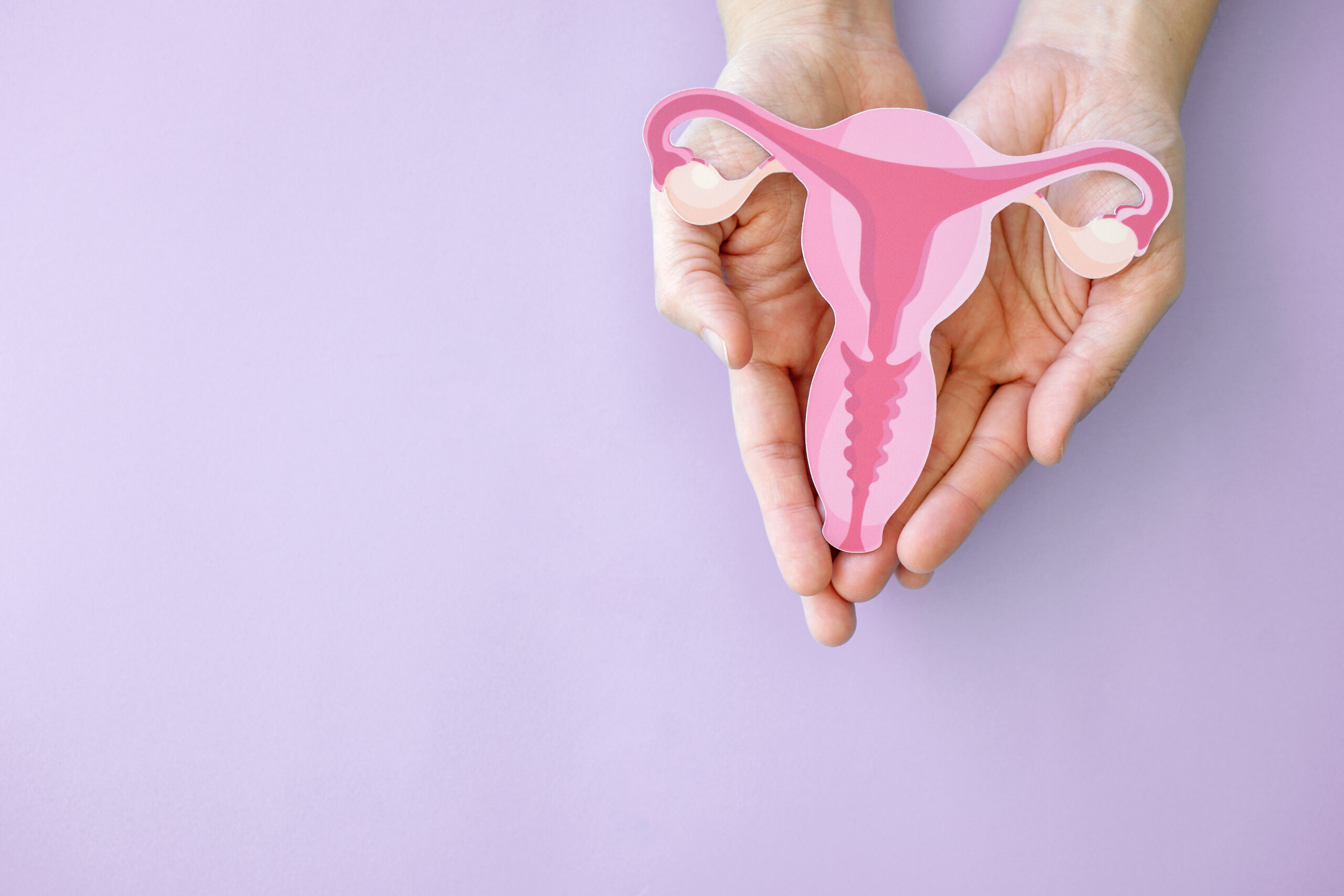 Hands holding a paper cutout of uterus - illustrating women's health